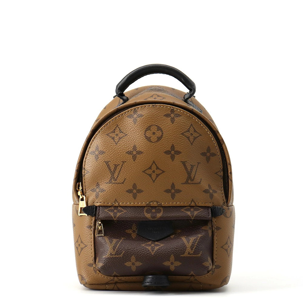 Louis Vuitton Monogram Reverse Palm Springs Backpack Bag